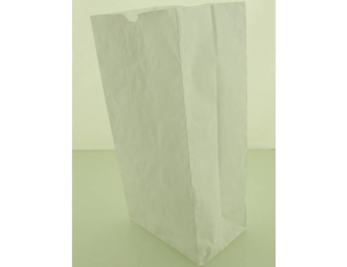 Paper Bag