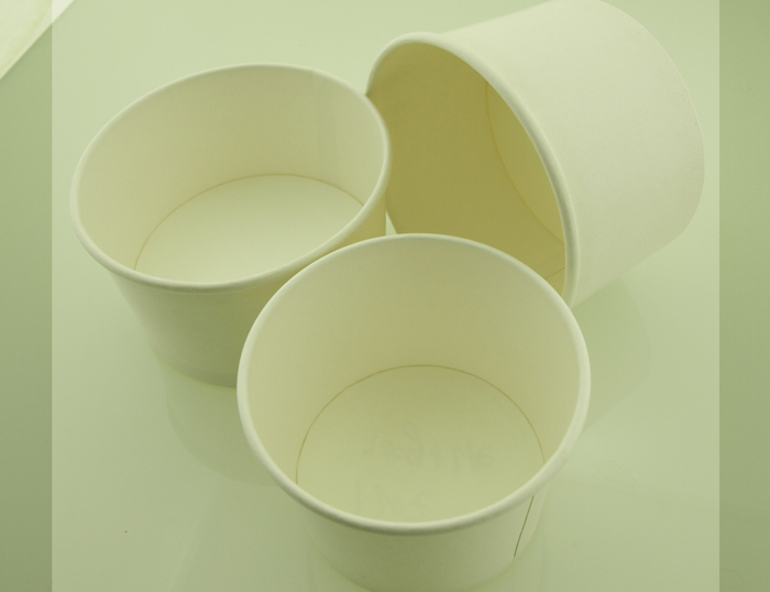 Paper Bowl